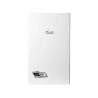 Котел газовый настенный Ferroli Divabel F24